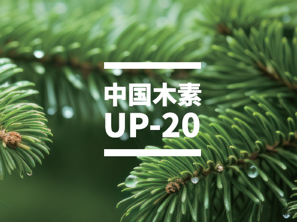 UP-20